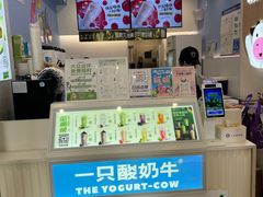-一只酸奶牛(春熙路店)