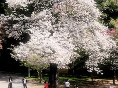 -华南师范大学(广州大学城校区)