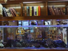 -喵园·猫主题咖啡厅·撸猫·猫咖(国贸店)