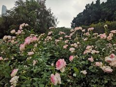 -人民公园(罗湖区)