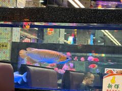 -新辉港式茶餐厅(北栅店)