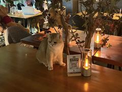 -咖法森林·咖啡  酒吧(天河店)