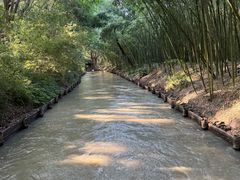 -同里国家湿地公园
