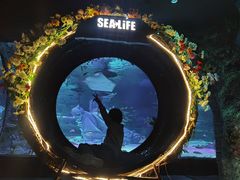 -沈阳海洋探索中心