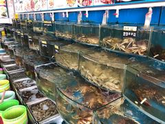 -渔中舟海鲜大排档(普陀沈家门店)