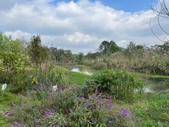 -桤木河湿地公园