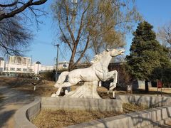 -莲花池公园