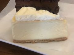 芝士蛋糕-星巴克(天津大悦城第二店)