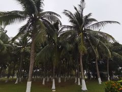 -万绿园