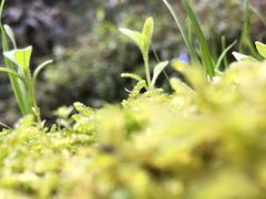 -淳沐源(观音桥店)