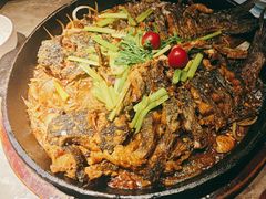 -老板恋上鱼(恒隆广场店)