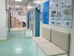 -北京观赏动物医院·24小时大型综合·猫专科·异宠专科