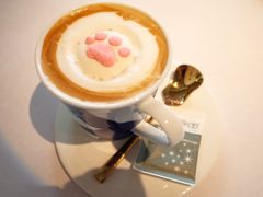 -喵屿·大理花园猫咖