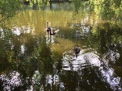 -长白岛森林公园