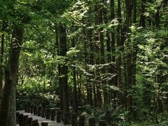 -桤木河湿地公园