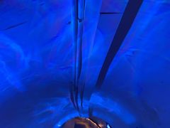 -洞庭洲·防空洞火锅·烧烤·铜锅涮肉(新百广场店)