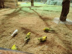 -酷嗒动物文化乐园(cutezoo西溪乐天城店)