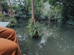 -广州兰圃