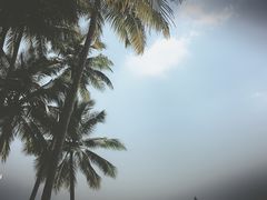 -东郊椰林