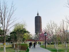 -西海子公园