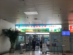 -德宏芒市国际机场