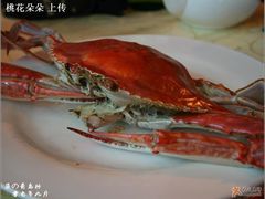 118/斤的野生公蟹-海岛渔村大酒店(云霄路店)