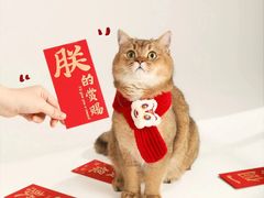 -瑞派宠物医院·犬猫全科·猫友好(宾水西道店)