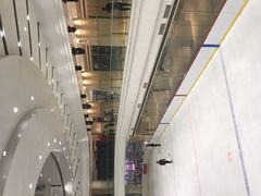 -陈露国际冰上中心(天津嘉里汇店)