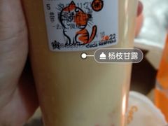 -CoCo都可(大石万民城店)