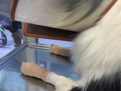 -纳吉亚猫专科动物诊疗中心(蒋宅口分院)