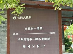-大槐树寻根祭祖园