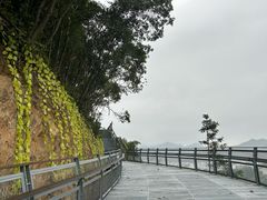 -婺源月亮湾
