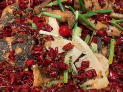 -老板恋上鱼(恒隆广场店)