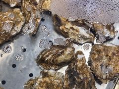 -宴小馆·小海鲜青岛菜(五四广场店)