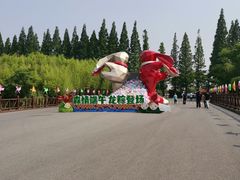 -黄海国家森林公园