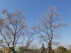 -相门城墙文化休闲景区