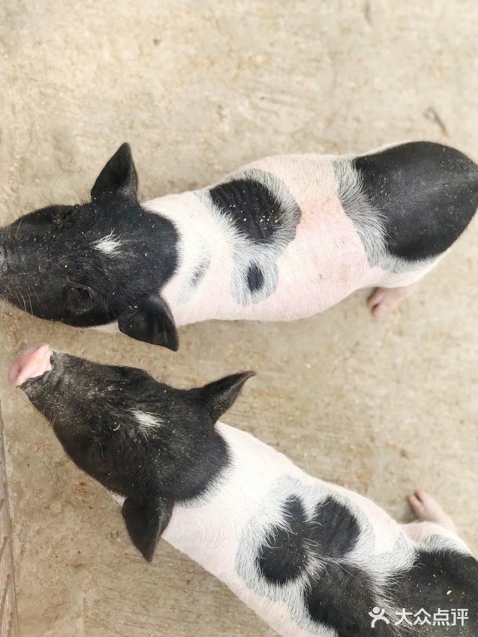 这个夏日带宝贝来亲子游乐园培养感情吧！