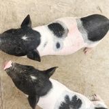 这个夏日带宝贝来亲子游乐园培养感情吧！