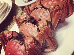 &nbsp;清蒸大闸蟹-皇朝海鲜酒店