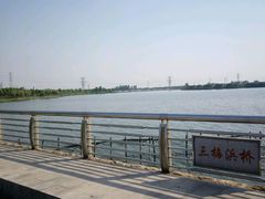 -漕湖湿地公园