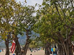 -大梅沙海滨公园