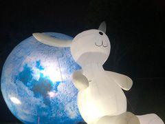 -福建鲤鱼洲酒店