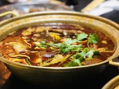 -友乐居羊蝎子(西直门店)