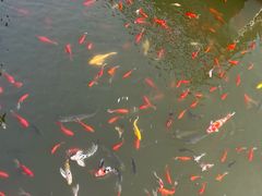 -昌州古城