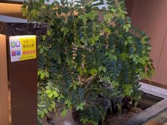 -南山翁新概念川菜(江宁万达广场店)