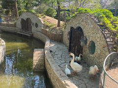 -南宫五洲植物乐园