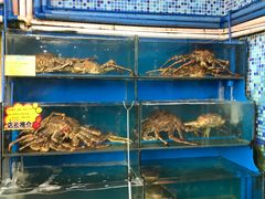 -蚝专家(北滘店)
