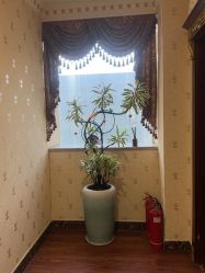 -安院长·产后恢复·徒手骨盆(先天下店)