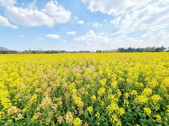 -中国天府农业博览园