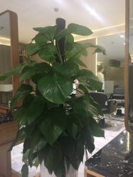 -CE·专业蛋白•羽毛接发·潮色烫染品牌店